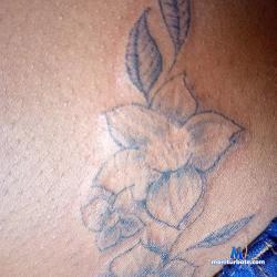 jennifer011 stripchat livecam performer profile