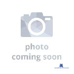 RayaMayvii stripchat livecam show performer room profile