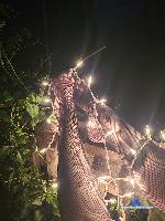 queensfeet1995 stripchat livecam show performer room profile